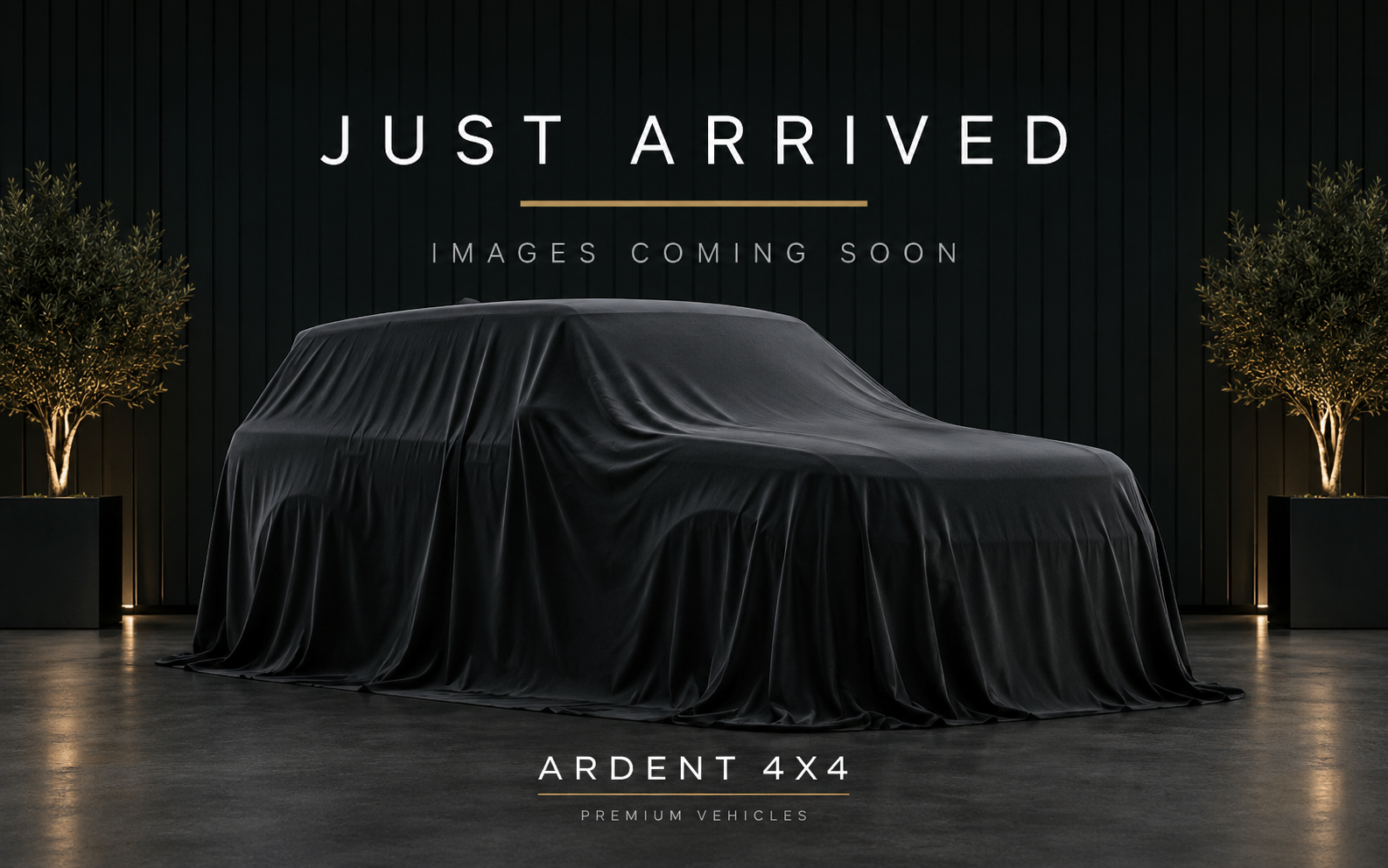 Just arrived - images coming soon